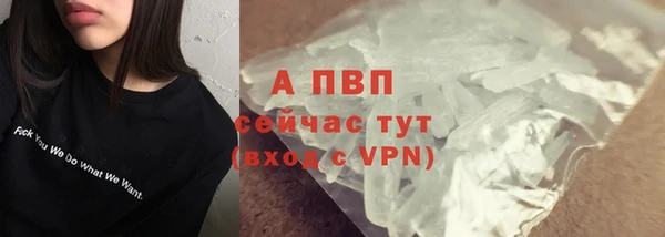 прущие грибы Киреевск