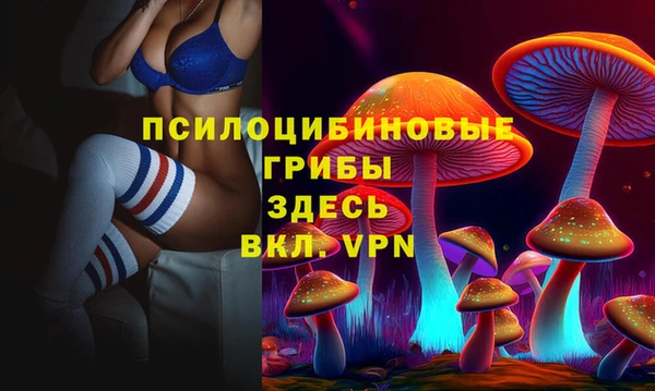 прущие грибы Киреевск
